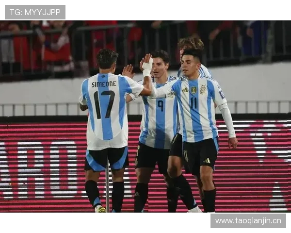 恩佐与麦卡利斯特世界杯中场角色分工及战术影响力解析